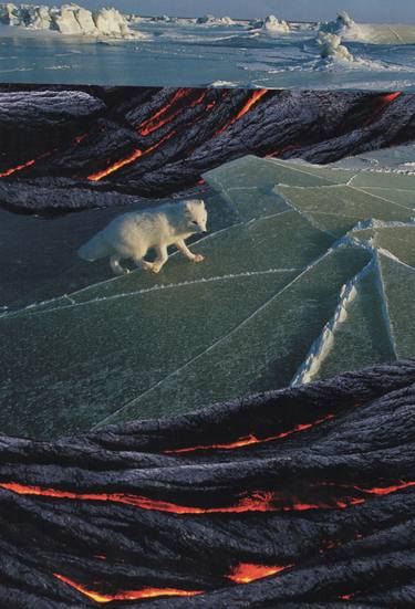 Original Conceptual Nature Collage by Deborah Stevenson