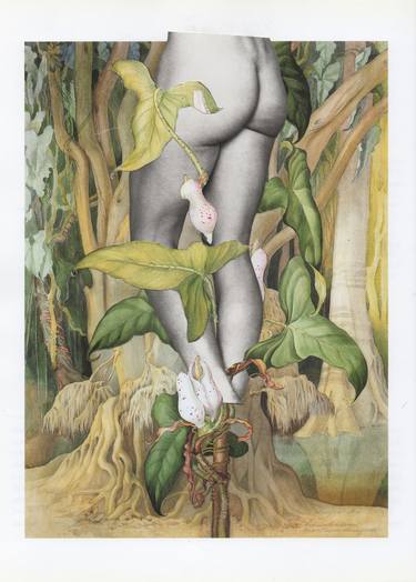 Print of Nude Collage by Deborah Stevenson