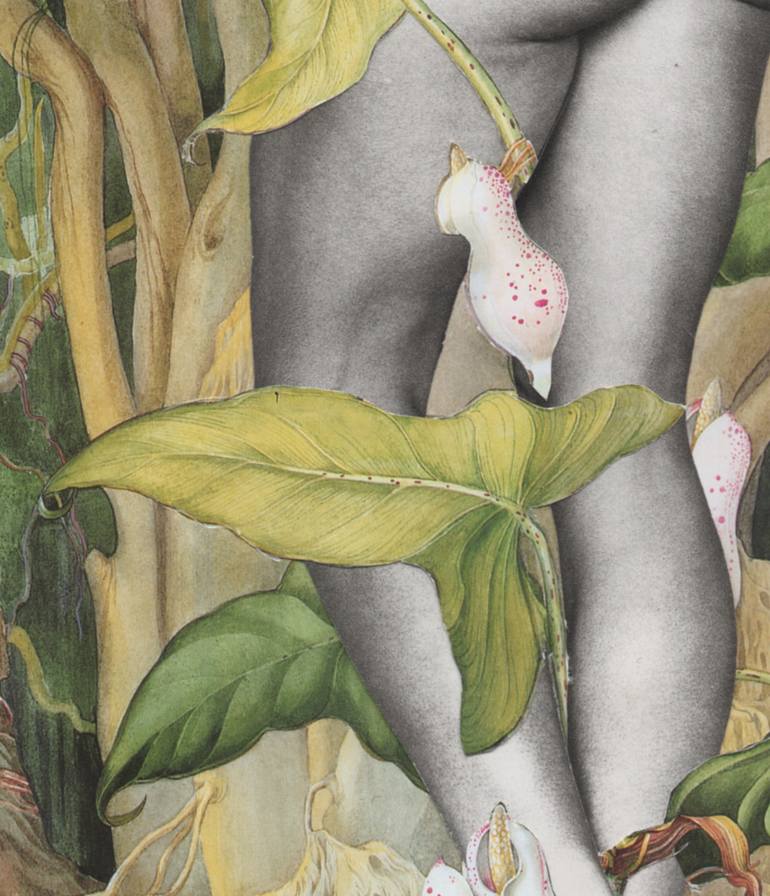 Original Dada Nude Collage by Deborah Stevenson