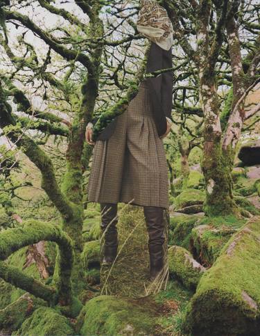 Original Conceptual Fantasy Collage by Deborah Stevenson