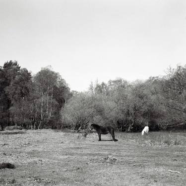 Original Landscape Photography by Nigel Kenny