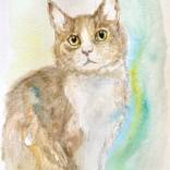 Tabby by Yumi Kudo
