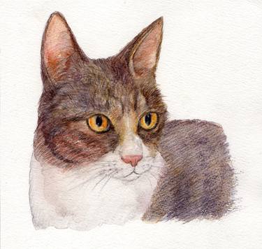 Print of Cats Drawings by Yumi Kudo