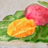 Mangos by Yumi Kudo