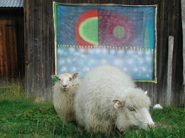 Fjellstad and sheep thumb