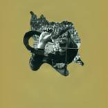 Untitled (NY Gold #1) by Maximo Tuja