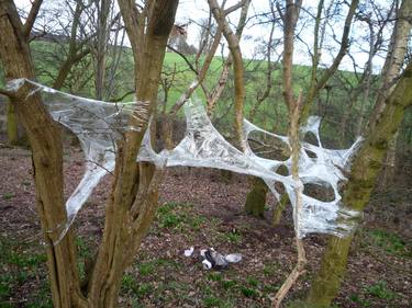 Original Nature Installation by Aimee Dymond