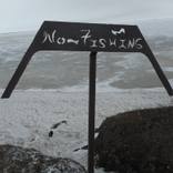 Yo, from Thaw, A Changing Arctic by Larry Cwik