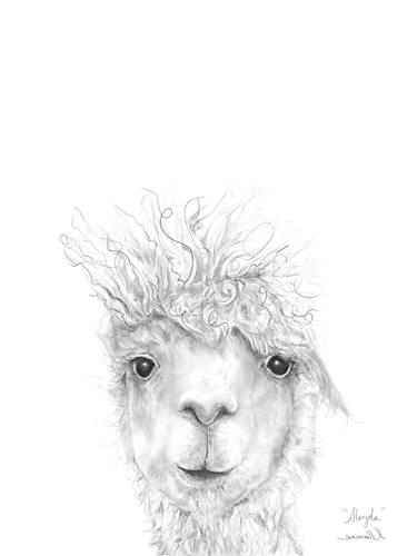 Print of Illustration Animal Drawings by Kristin Llamas