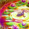 Collection Water lily dream