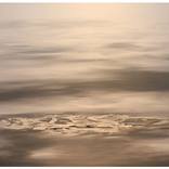 Untitled 430 by Sanjay Patel