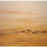 Untitled 426 by Sanjay Patel