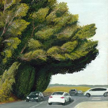 Original Documentary Tree Paintings by Netta Canfi