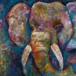 Collection Animal art
