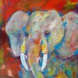 Collection Animal art