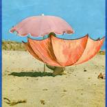 Umbrellas by Jonathan Brown