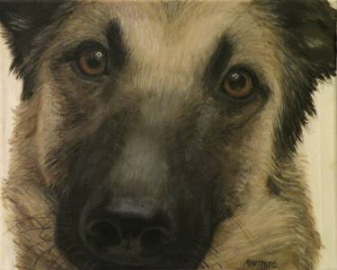 Rike, dog portrait thumb