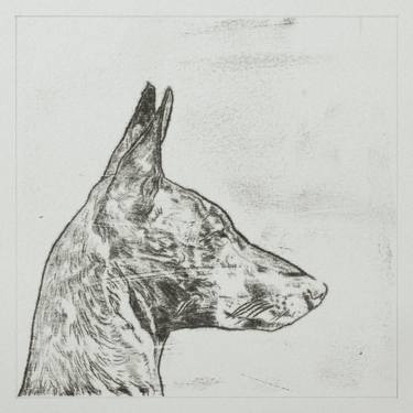 Print of Realism Animal Drawings by Carl Meek