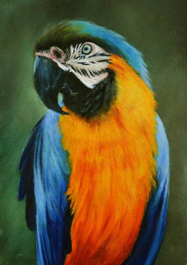 Original Animal Paintings by Lynn Hughes