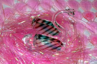 PSYCHEDELIC SWAN IN A PINK RUBBER POND thumb