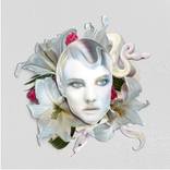 Lillies - Snakes - Medusa by Lisa van Noorden