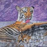 Tiger Splash by Bhagvati Nath