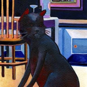 Collection Cats of All Kinds