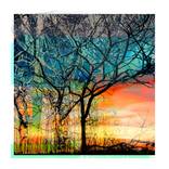 Enclosed Trees, Blue and Orange no:1 Limited Edition of 12 by Hayley McErlean