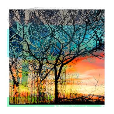 Enclosed Trees, Blue and Orange no:1 Limited Edition of 12 thumb