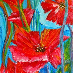 Collection Poppies 