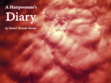 A Hairpoonate’s Diary thumb