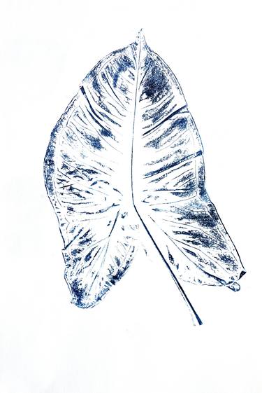 Botanical - Blue Leaf thumb