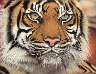 Retrato de un tigre thumb