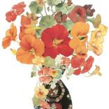 Nasturtiums, 2012 by Emilie Truscott