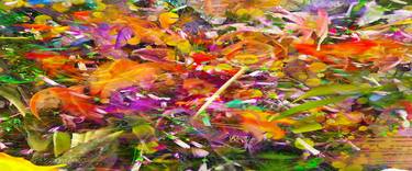 Original Abstract Botanic Photography by Michael Davies