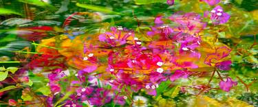 Original Abstract Botanic Photography by Michael Davies