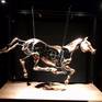 Collection Mechanical Horses