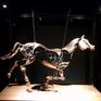 Equanta is a table-top, mini mechanical horse sculpture. Made of laser cut steel and hand hammered copper, it is suspended from a frame and gallops in slow motion on a timer, for one minute, at the push of a button.