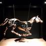 Equanta is a table-top, mini mechanical horse sculpture. Made of laser cut steel and hand hammered copper, it is suspended from a frame and gallops in slow motion on a timer, for one minute, at the push of a button.