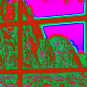 Collection wild manipulations