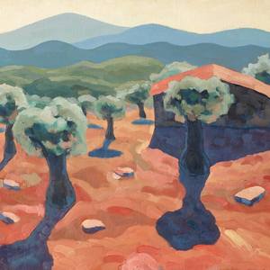 Collection Olive trees