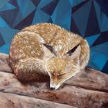 Fox Sleeping on Logs by Kat Serediuk