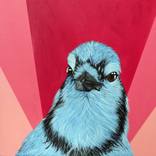 Mona - Blue Jay by Kat Serediuk