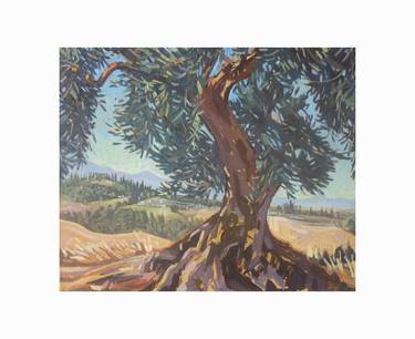Ancient Olive Tree thumb