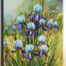 This is a field of irises in spring
Oil on canvas. 40x60cm
