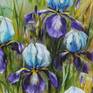 This is a field of irises in spring
Oil on canvas. 40x60cm