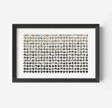 Original Black & White Botanic Collage by Amelia Coward