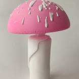 mushroom no. 13 by Annique Delphine