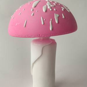 mushroom no. 13