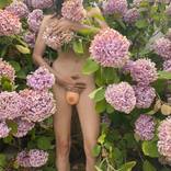 The Wilted Flowers by Annique Delphine
